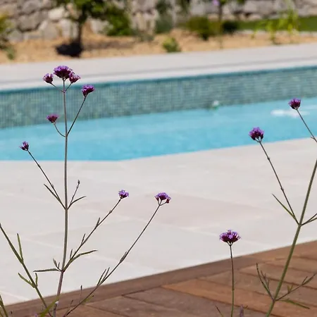 A True Paradise For Unforgettable Vacation - Pool And Sea View Vila Nice